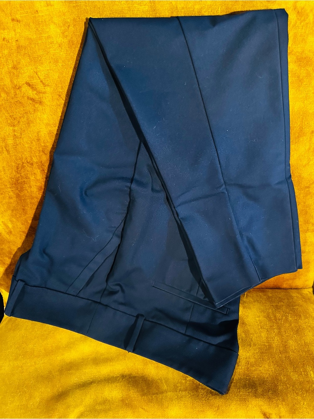 LOFT Navy Tailored Dress Pants